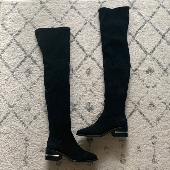 PAIGE Shoes - NWOT PAIGE Jacey Over the Knee Suede Boots